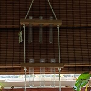 Propagation Hanging Wooden Test Tube Vase Holder